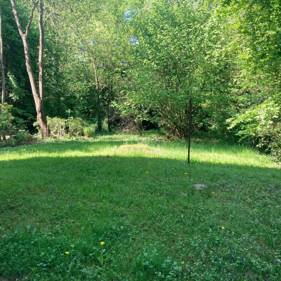 Mietereigener Garten