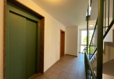 Gepflegtes Treppenhaus