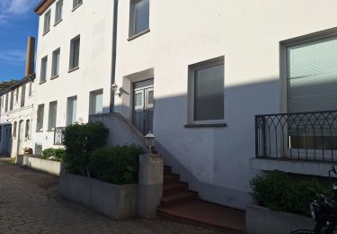 Remisencharakter