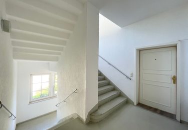 Gepflegtes Treppenhaus