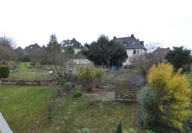 Beispielfoto Garten