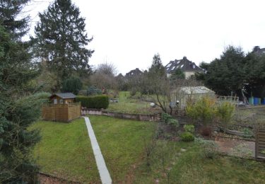 Beispielfoto Garten