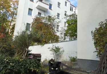 Hinterhof