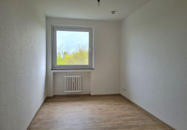48183187.jpg