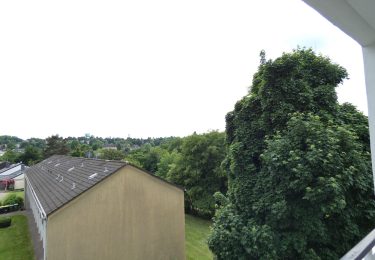 Ausblick
