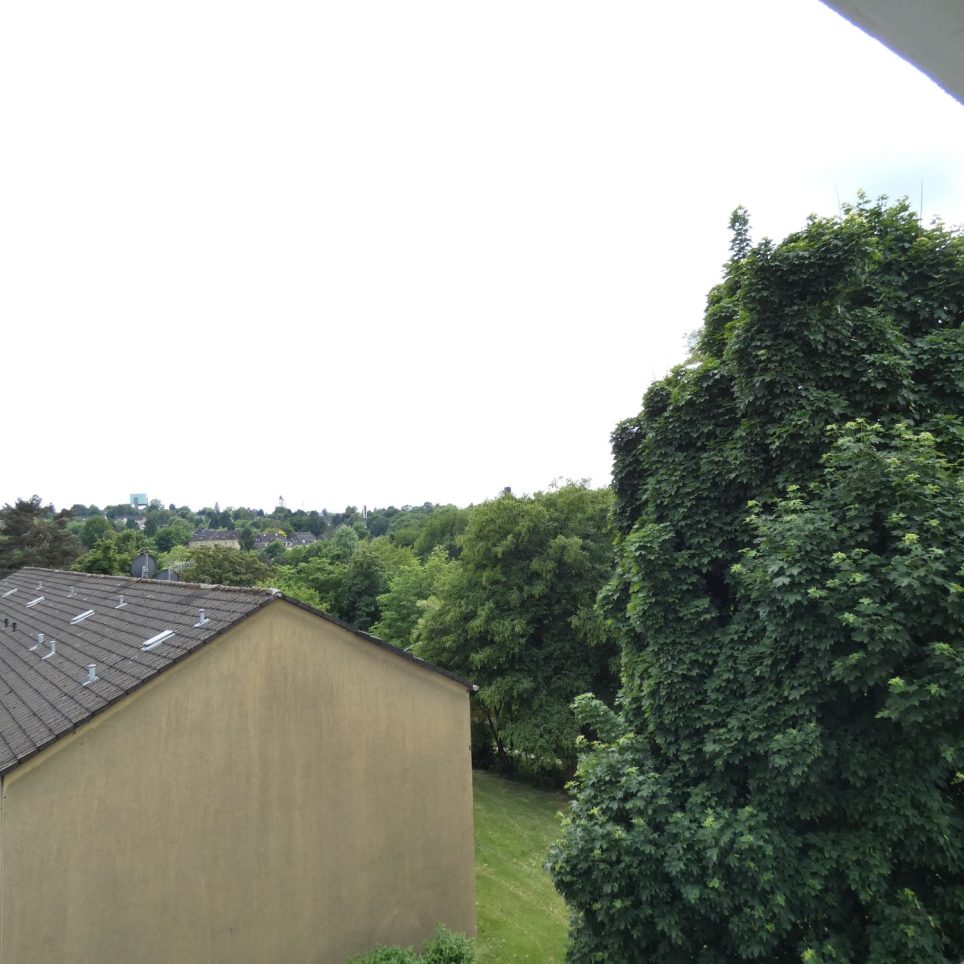 Ausblick