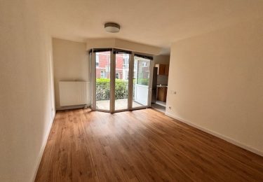 Wohnzimmer mit Küche