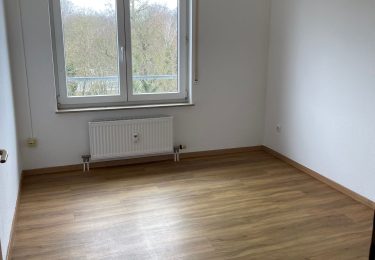 48870457.jpg