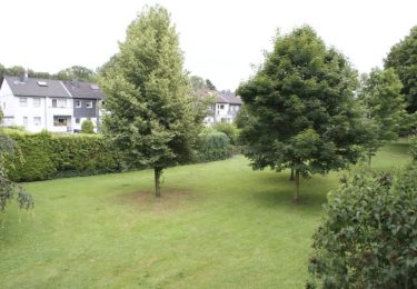 Wohnung Umgebungsbilder