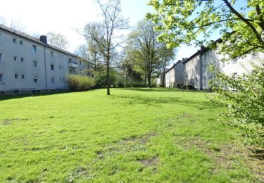 Umfeld Rückseite