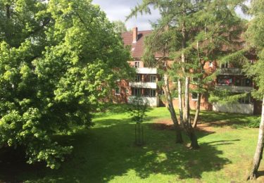 Balkonaussicht