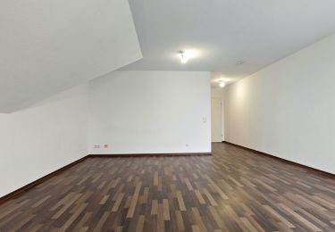 48940425.jpg