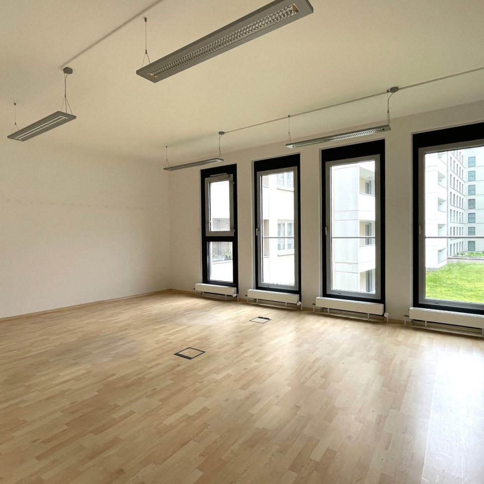 bodentiefe Fenster (Muster)