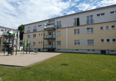 Haus