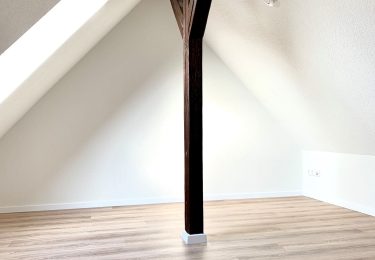 Galerie (exemplarische Bilder)