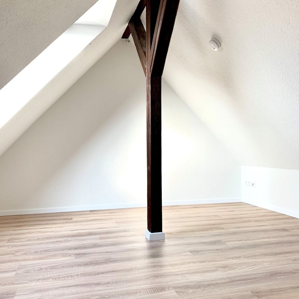 Galerie (exemplarische Bilder)