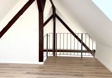 Galerie (exemplarische Bilder)