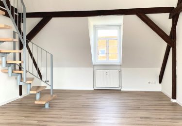 Wohnzimmer (exemplarische Bilder)