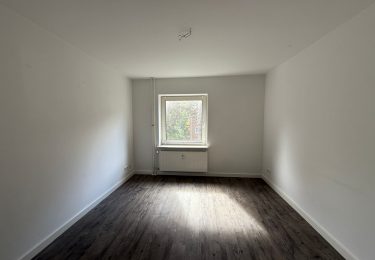 Zimmer 3
