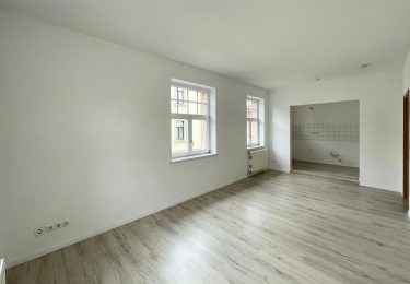 Wohnzimmer mit Blick zur halboffenen Küche