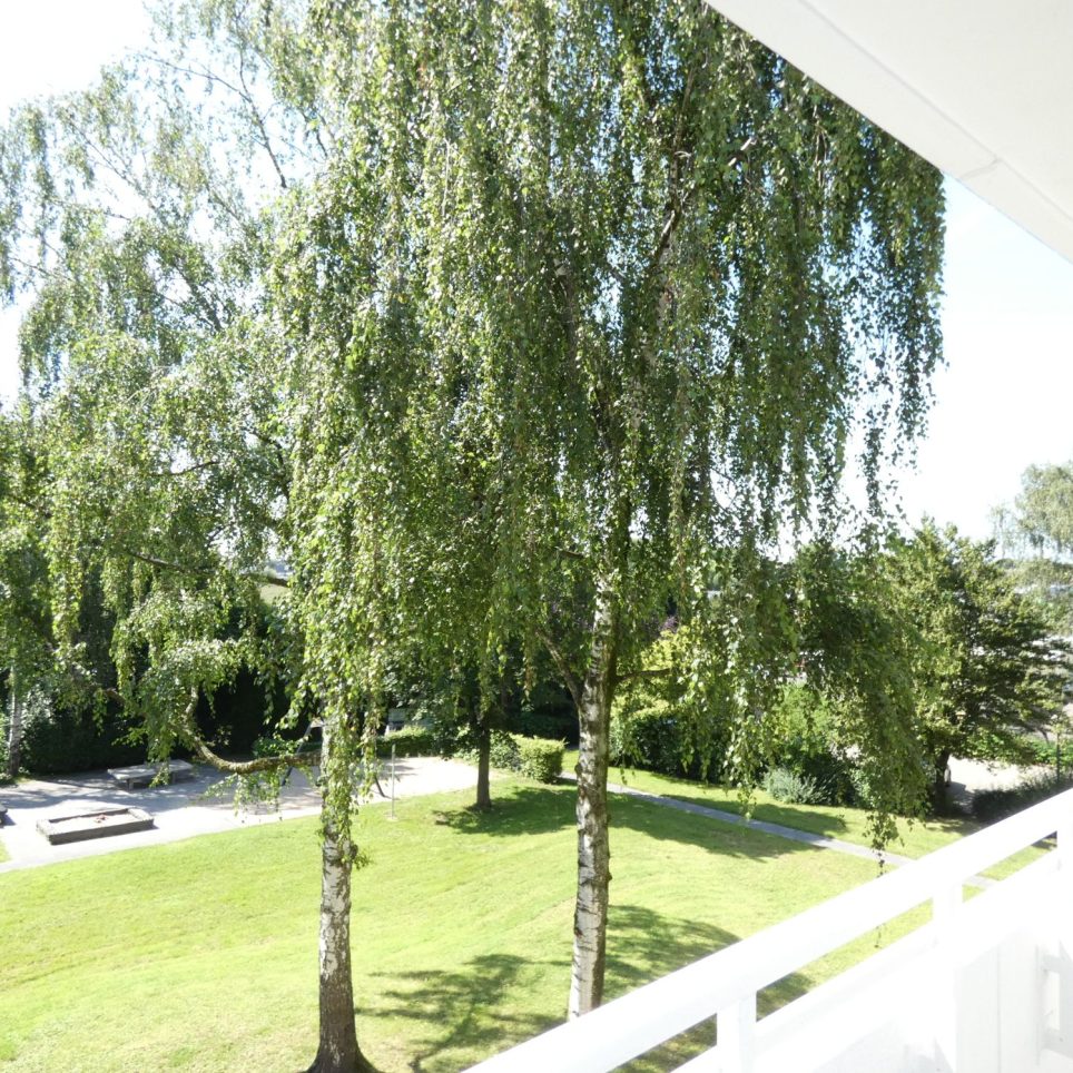 Beispielfoto Ausblick