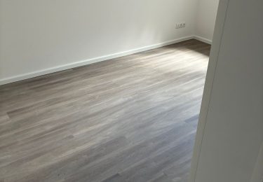 Zimmer 1