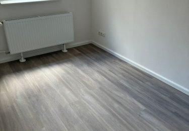Zimmer 2