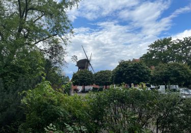 begrüntes Wohnumfeld