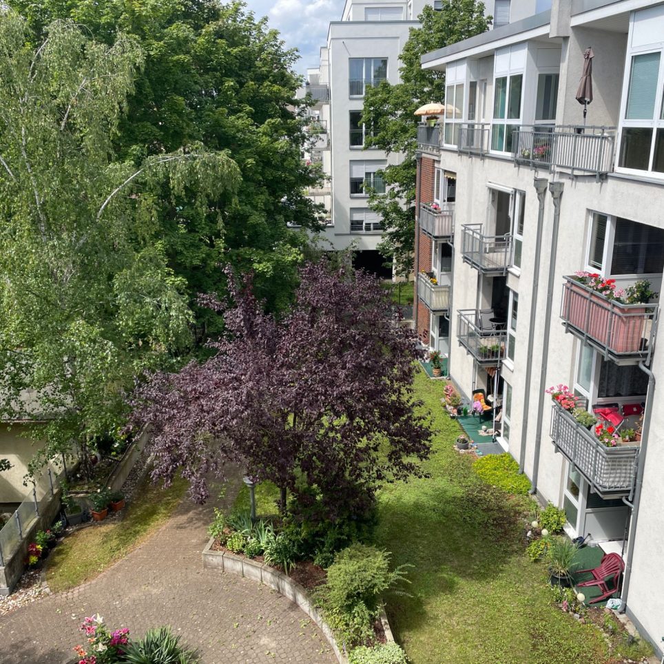 Grüner Gemeinschaftsgarten