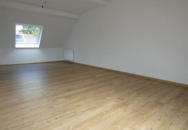 Originalfoto Wohnraum