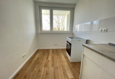 MUSTERBILD Küche mit Herd und Spüle