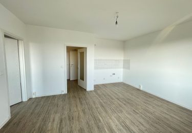 Wohnzimmer mit Kochnische