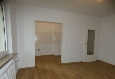 Wohnraum mit Kochnische