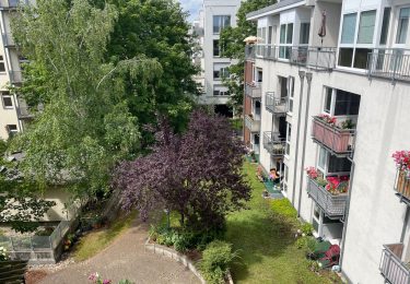 Grüner Gemeinschaftsgarten