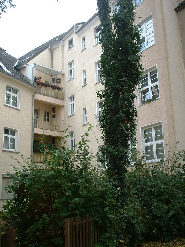 Wohnung Rückansicht