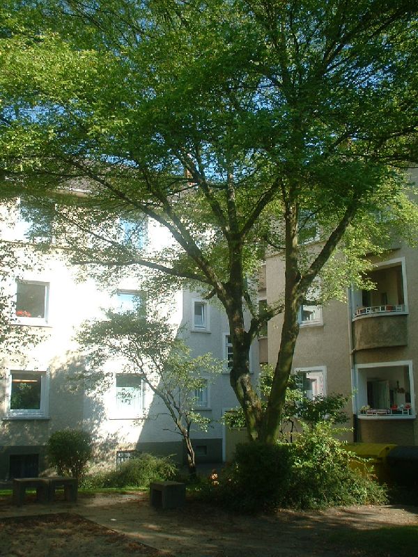 Wohnung Rückansicht