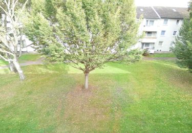 Beispielfoto Umgebung