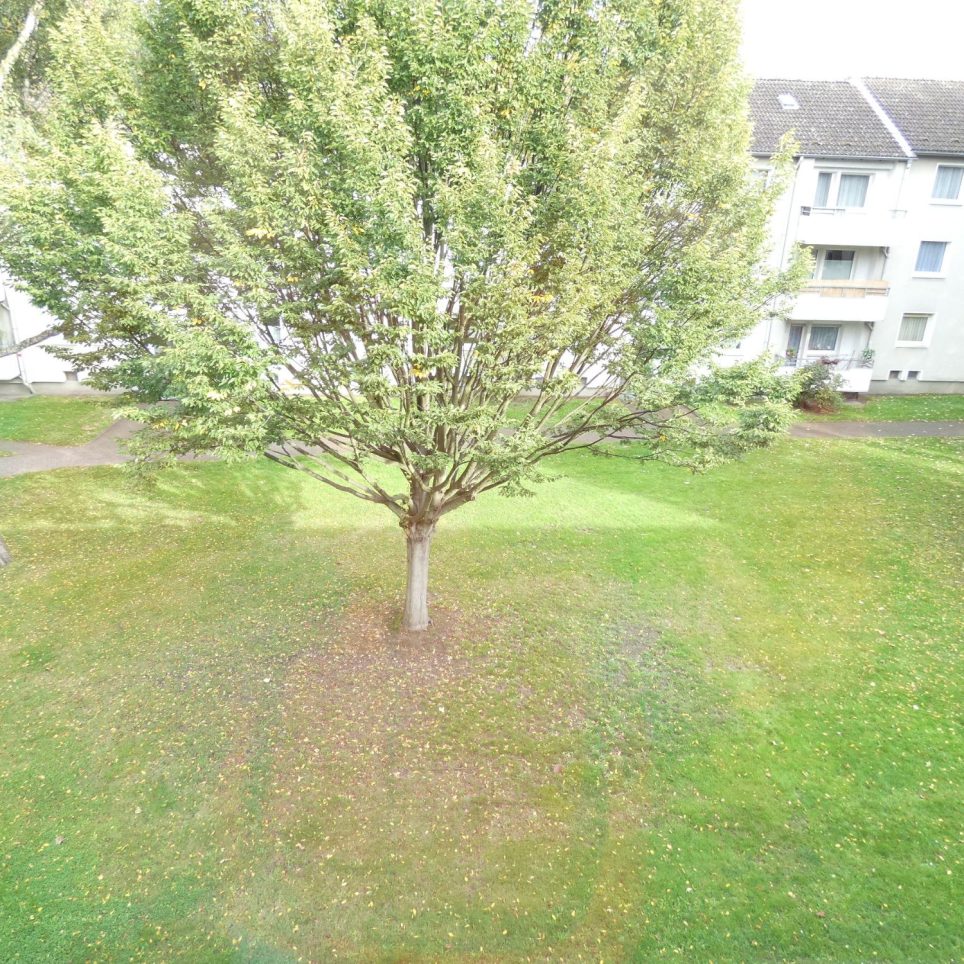 Beispielfoto Umgebung