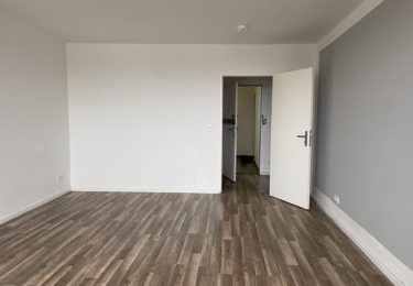 Wohn-/Schlafzimmer