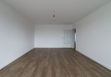 Beispielbild