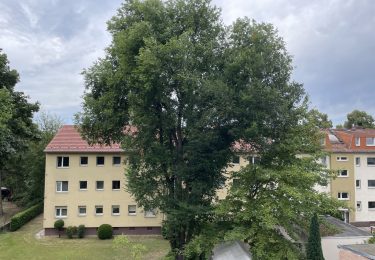 Aussicht ins Grüne