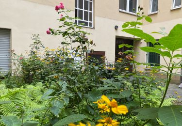 grüner Hofbereich