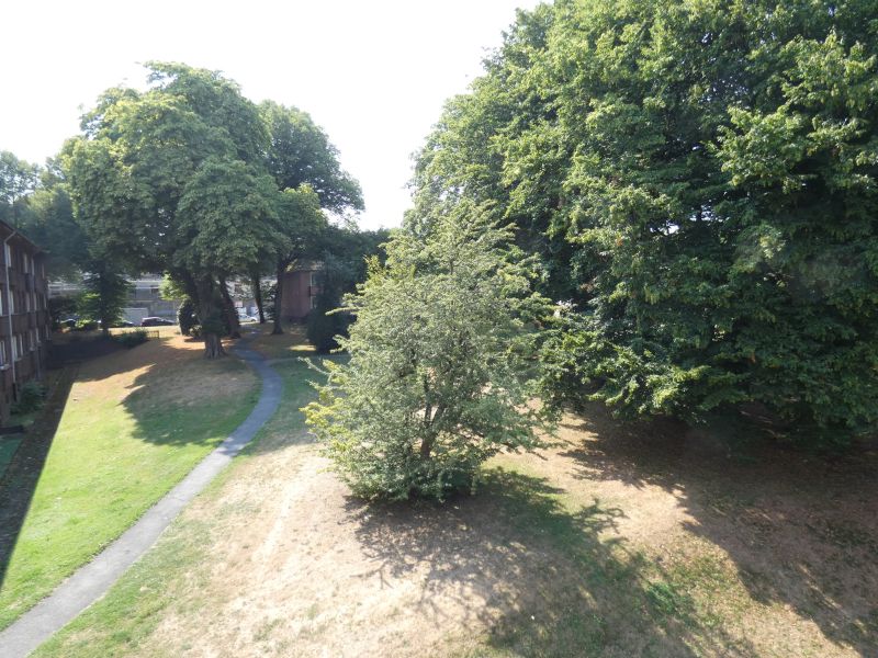Ausblick Wohnraum
