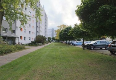 grüne Umgebung