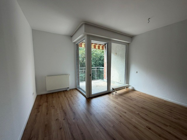 54158627.jpg