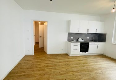 تصویر Schicker Neubau mit eigener Terrasse und EBK sucht neue Bewohner!